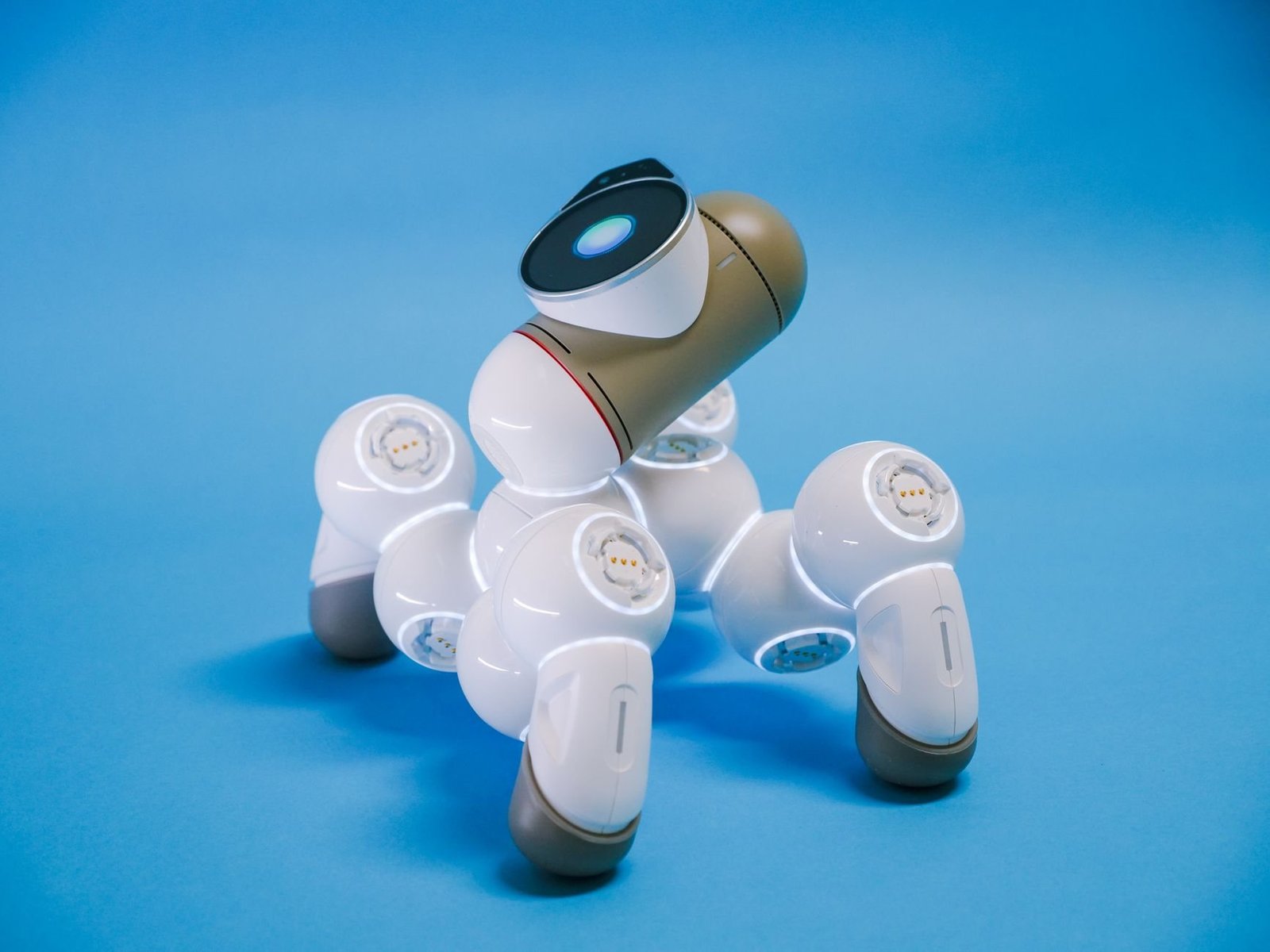Nischen im Robotikhandel: Wo Märkte gerade entstehen