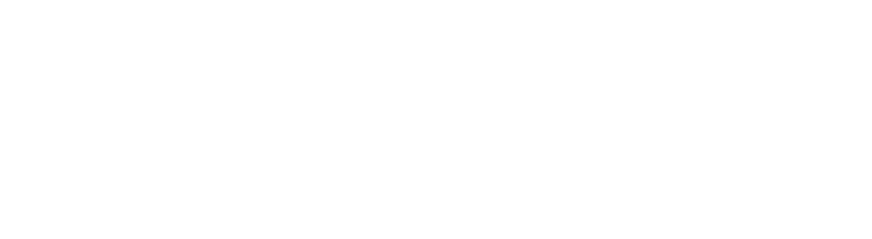 WZN Logo